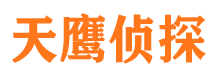 大新市调查取证